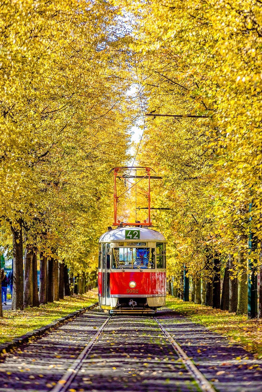metro, fall, yellow leaves-8059215.jpg